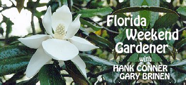 Florida Weekend Gardener
